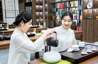 茶艺师半岛(中国)bandao·官方网页版